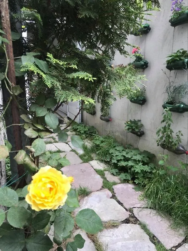اتصالات Hostel Pop Bogomil 